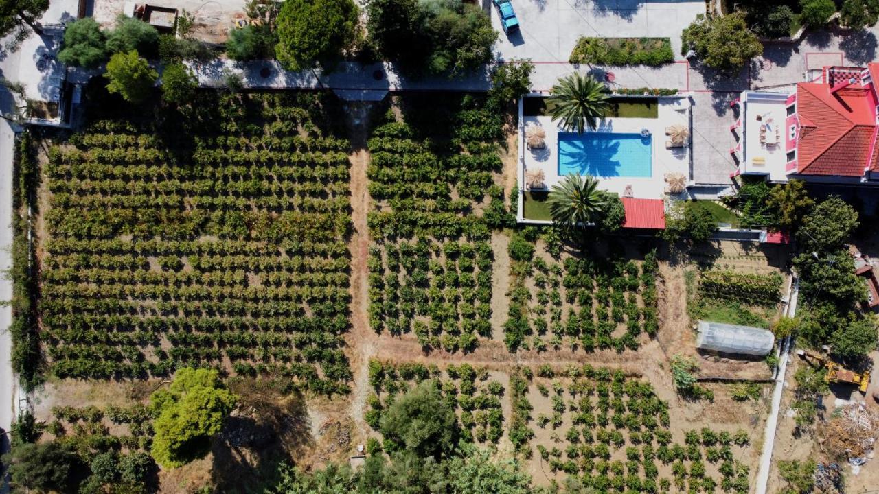 Zissis Villa & Pool 5Min Drive To Beach Kato Yerakarion Exterior foto